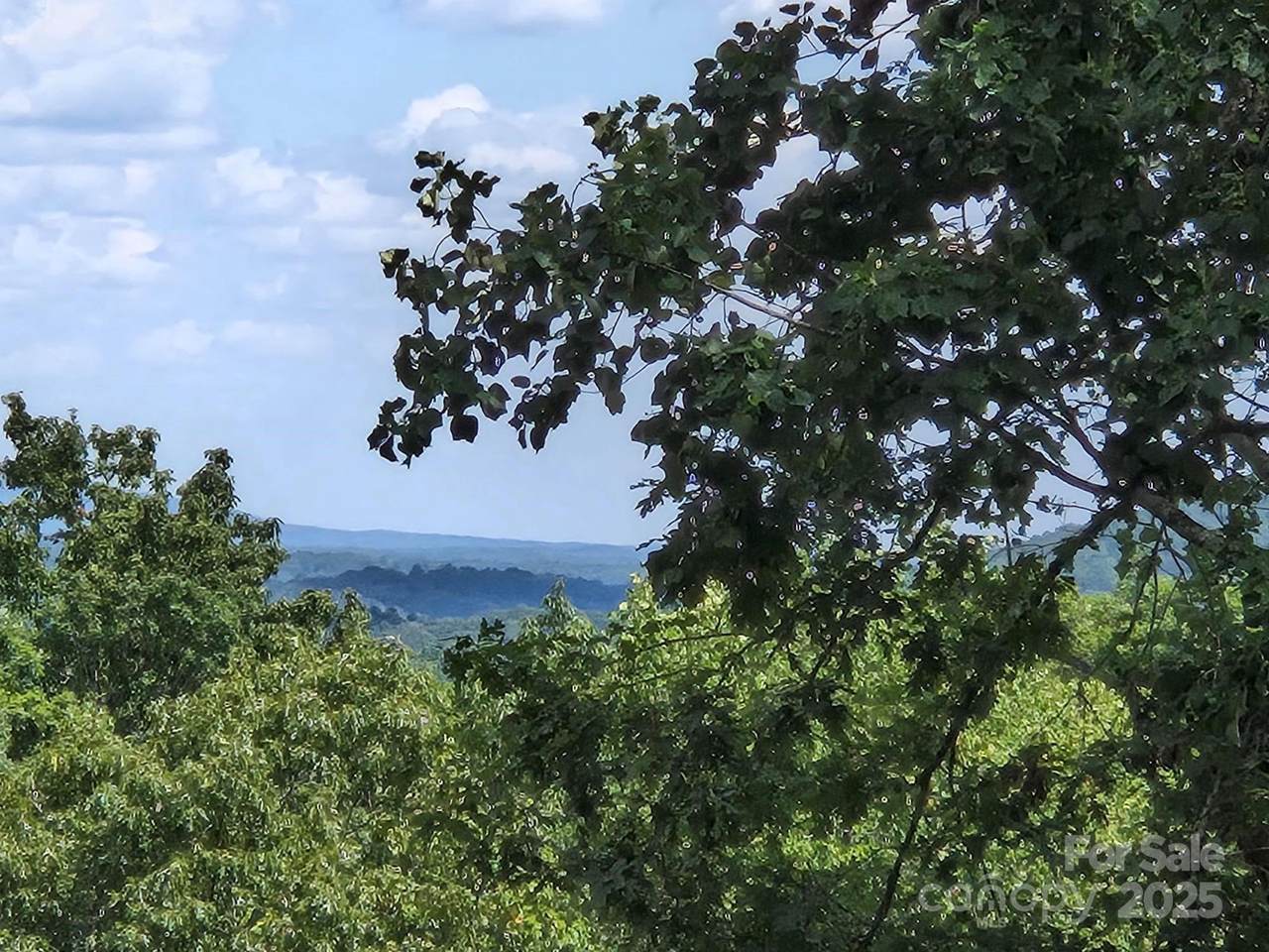 Lot 34 Hawks Nest Trail - Photo 1