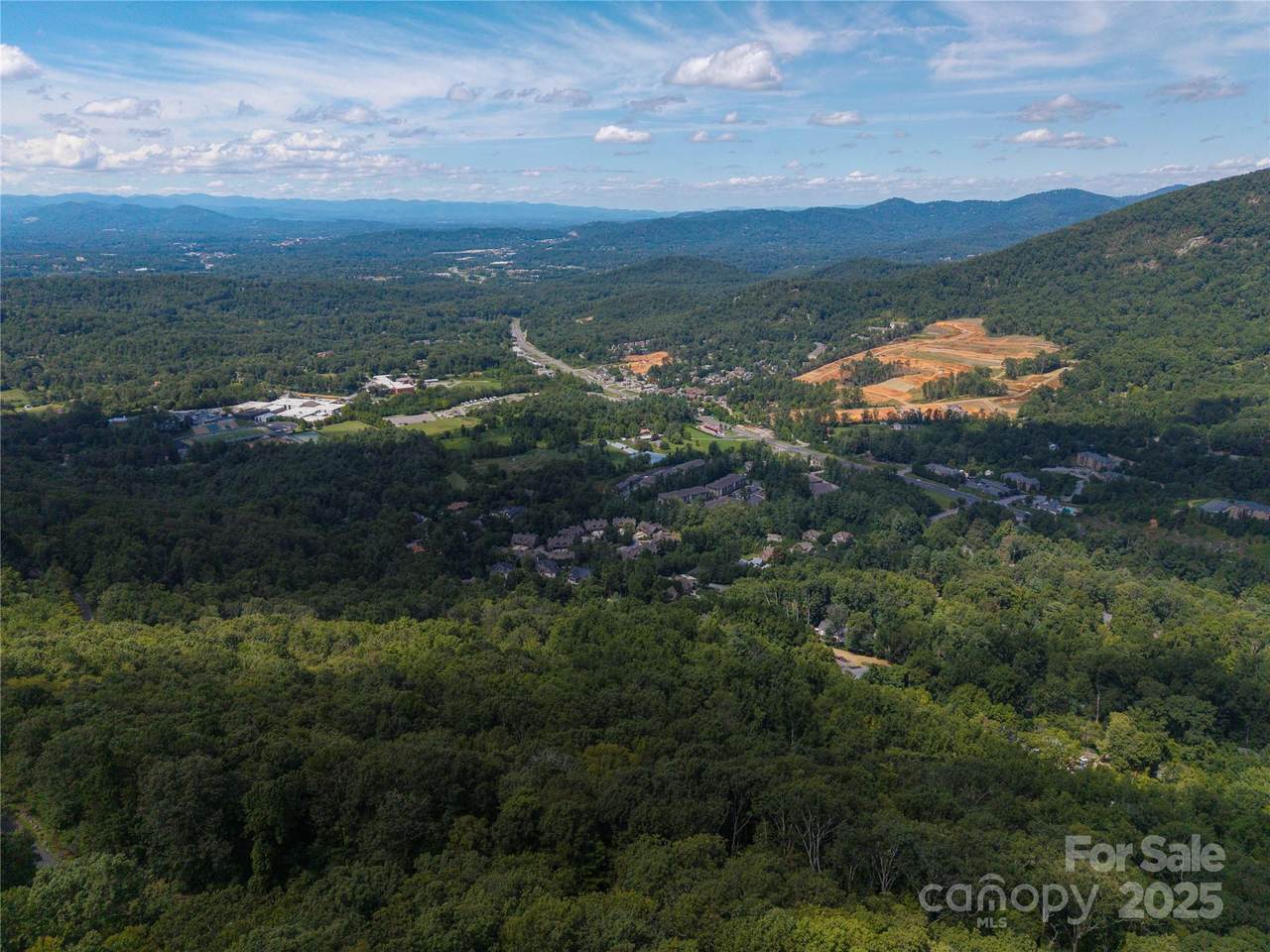 52 Castanea Mountain Drive - Photo 1