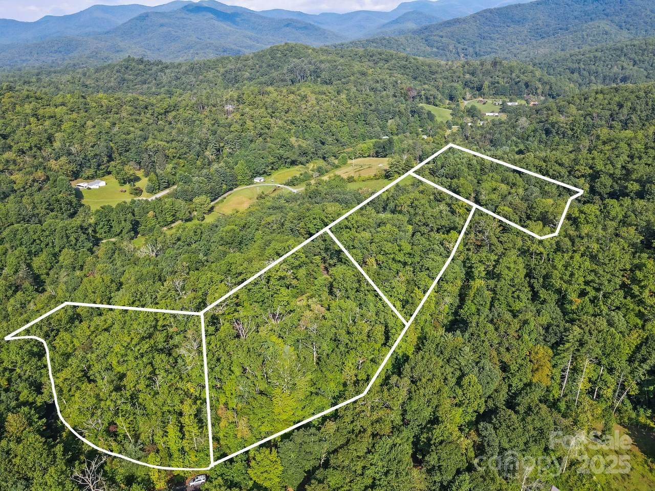 TBD Barts Branch Drive - Photo 1