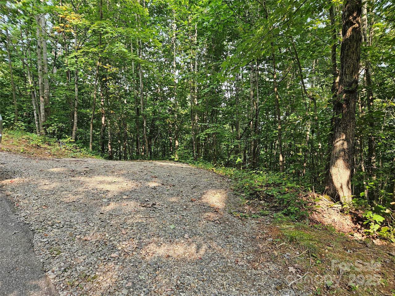 112 Steinwald Trail - Photo 1