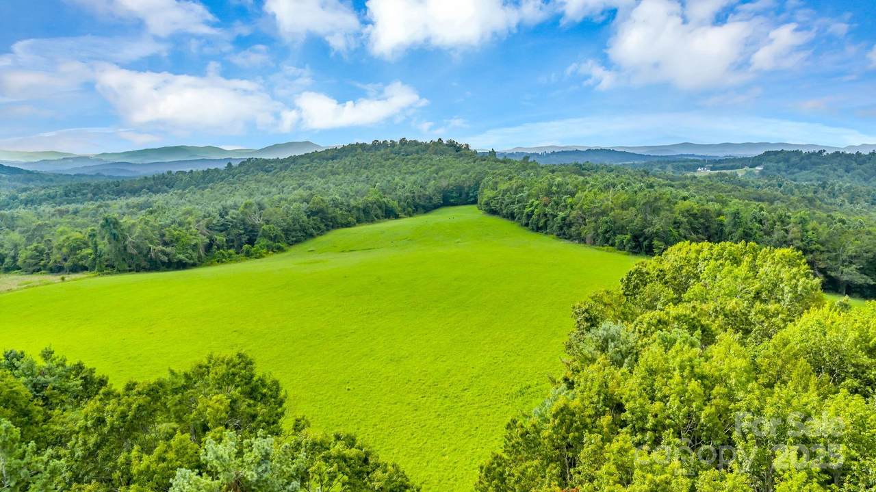 TBD Murphy Bend Road - Photo 1