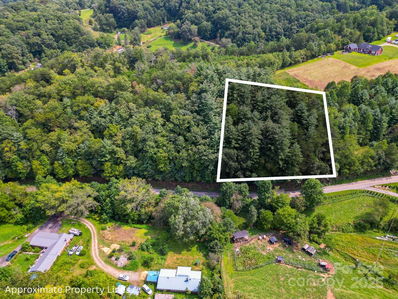 99999 Morgan Cove Road - Photo 1