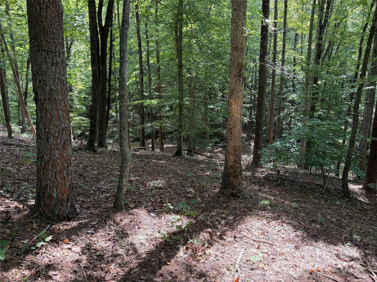 0 Mountain Brook Trail - Photo 1
