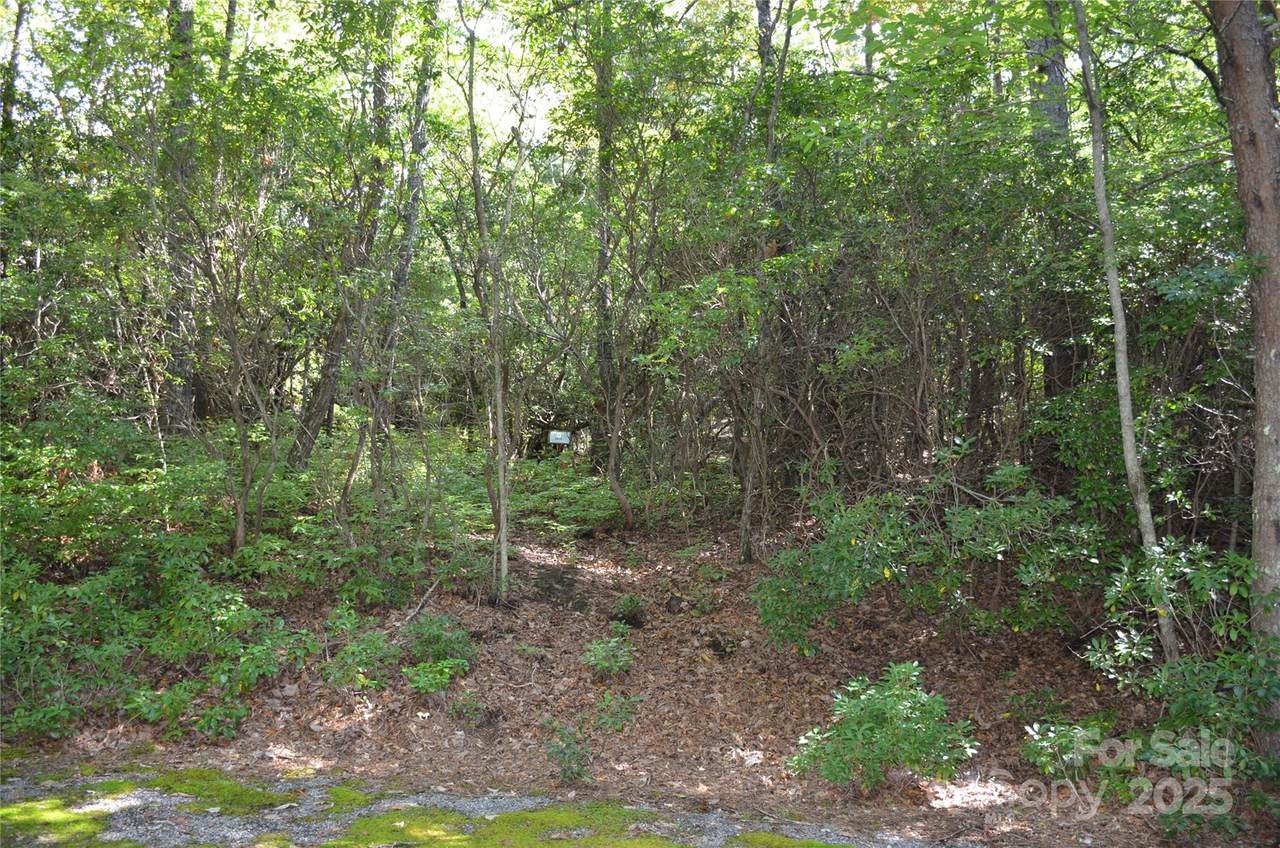 Lot 9 Galax Lane - Photo 1