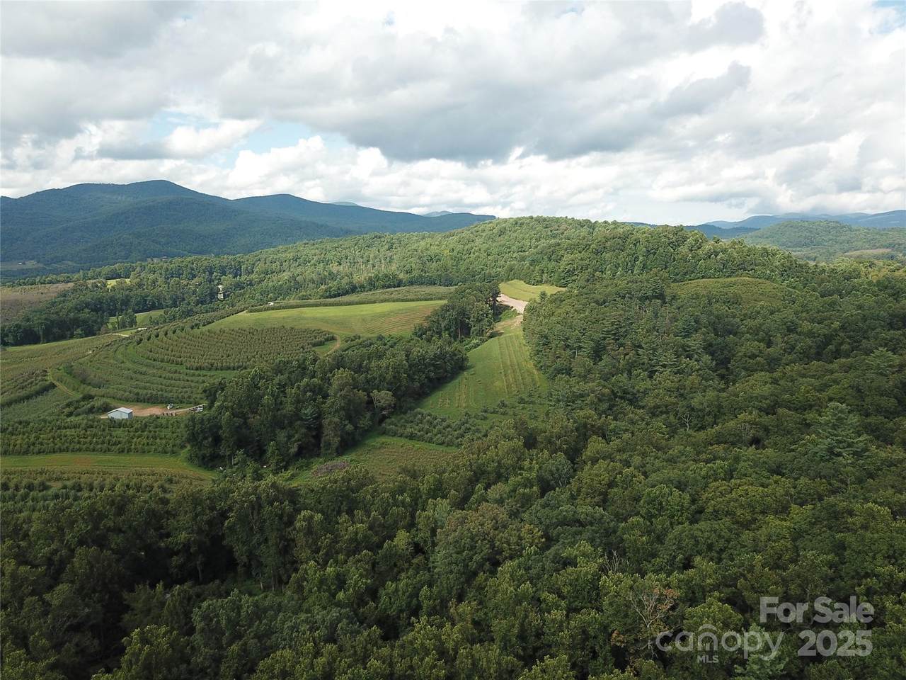 0 Pounding Mill - Photo 1