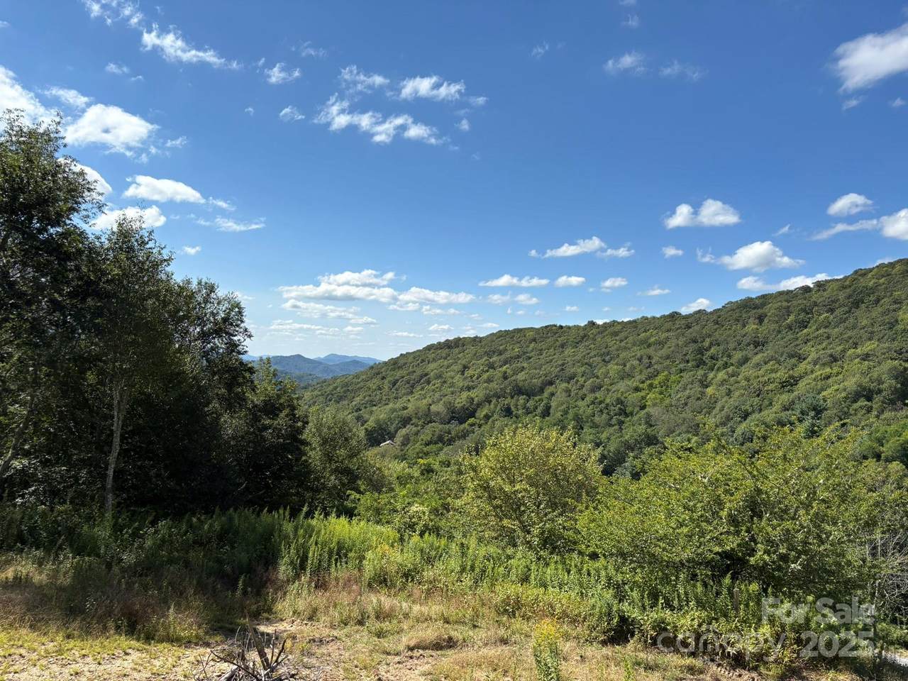 771 Arnett Road - Photo 1