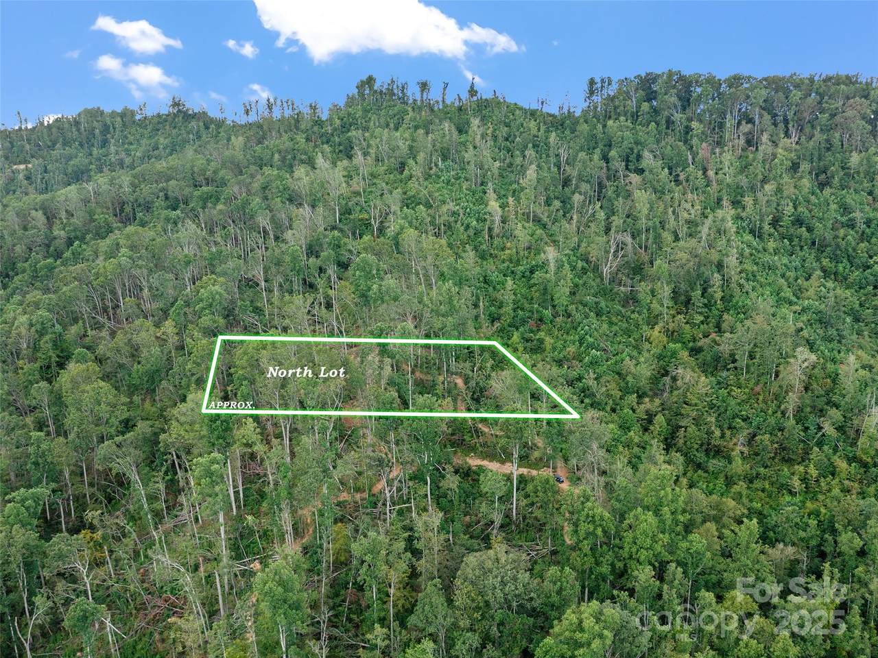 99999 Youngs Gap Road - Photo 1