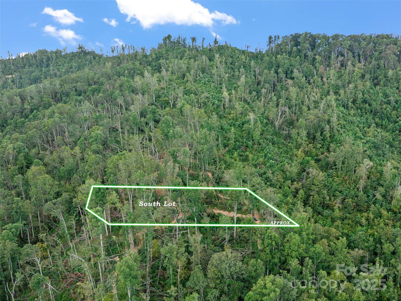 99999 Youngs Gap Road - Photo 1