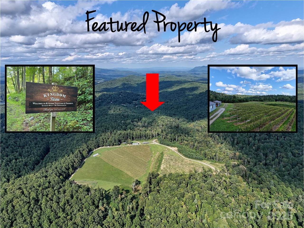 781 Payne Drive - Photo 1