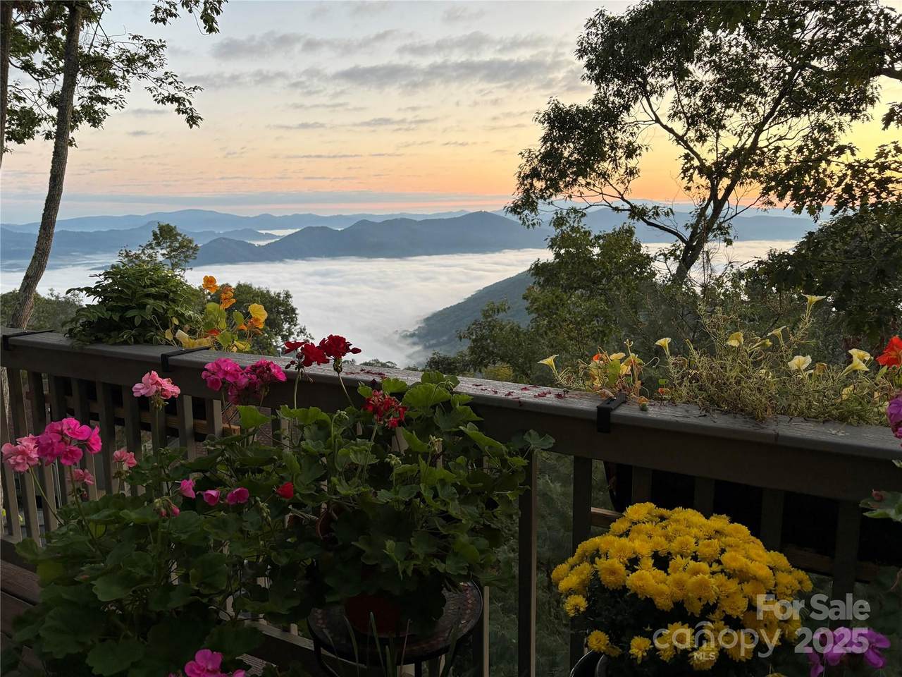 133 Club House Drive - Photo 1