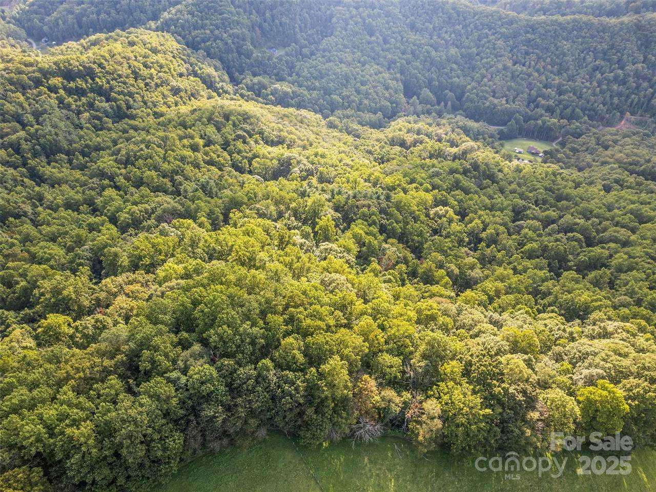 000 Crackin Chestnut Lane - Photo 1