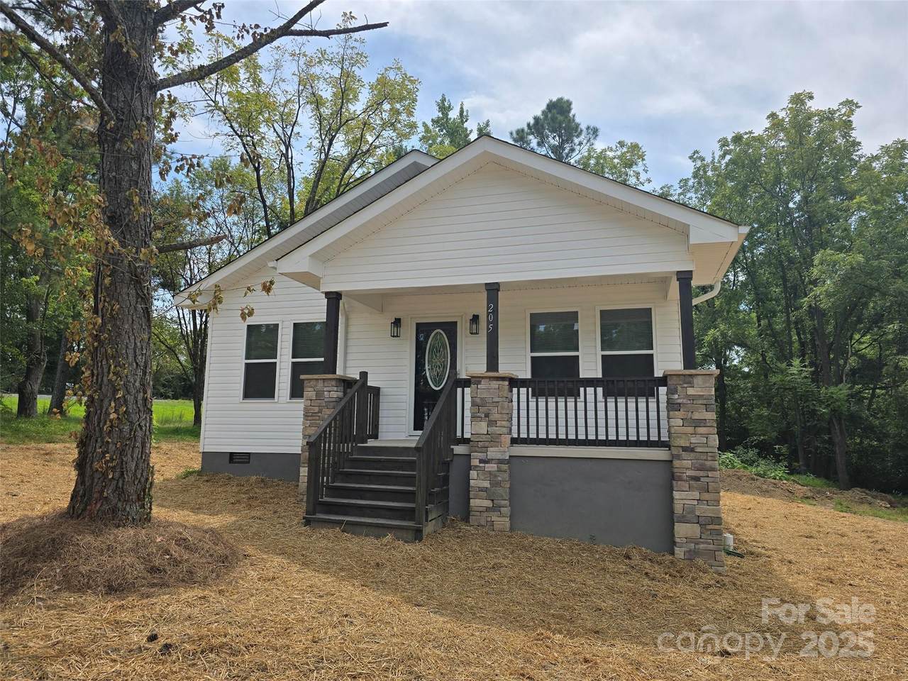 205 Roswell Street - Photo 1