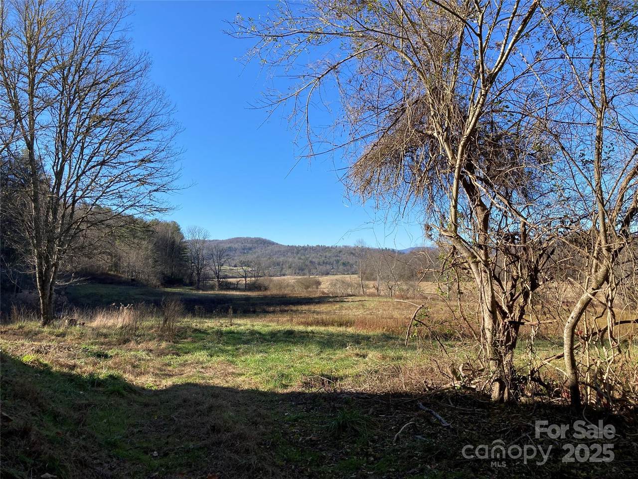 280 Merle Farm Lane - Photo 1