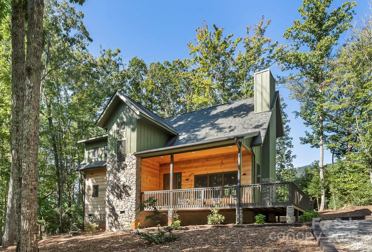 90 Clinchfield Gap Road - Photo 1