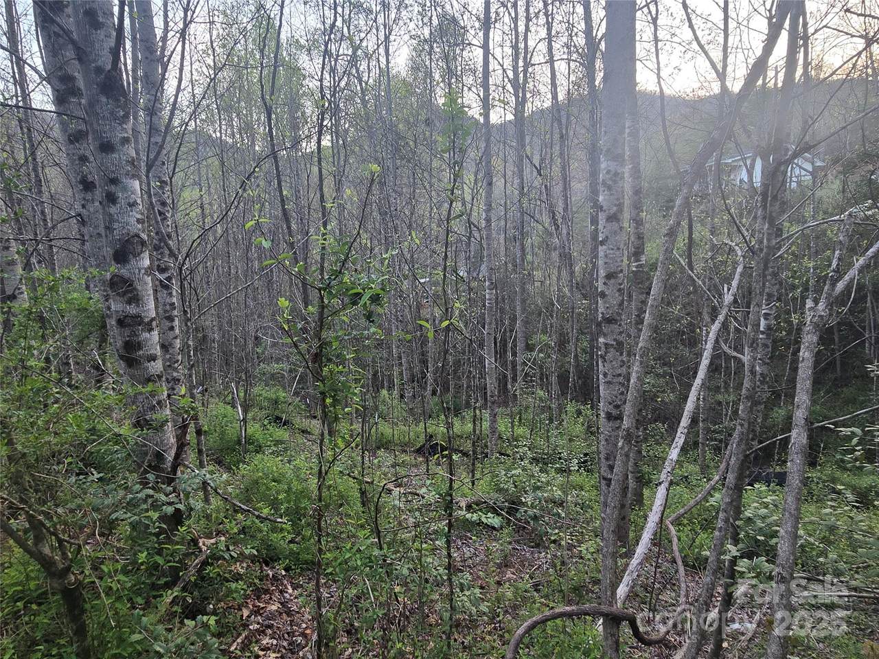 Lt 1 Running Water Circle - Photo 1