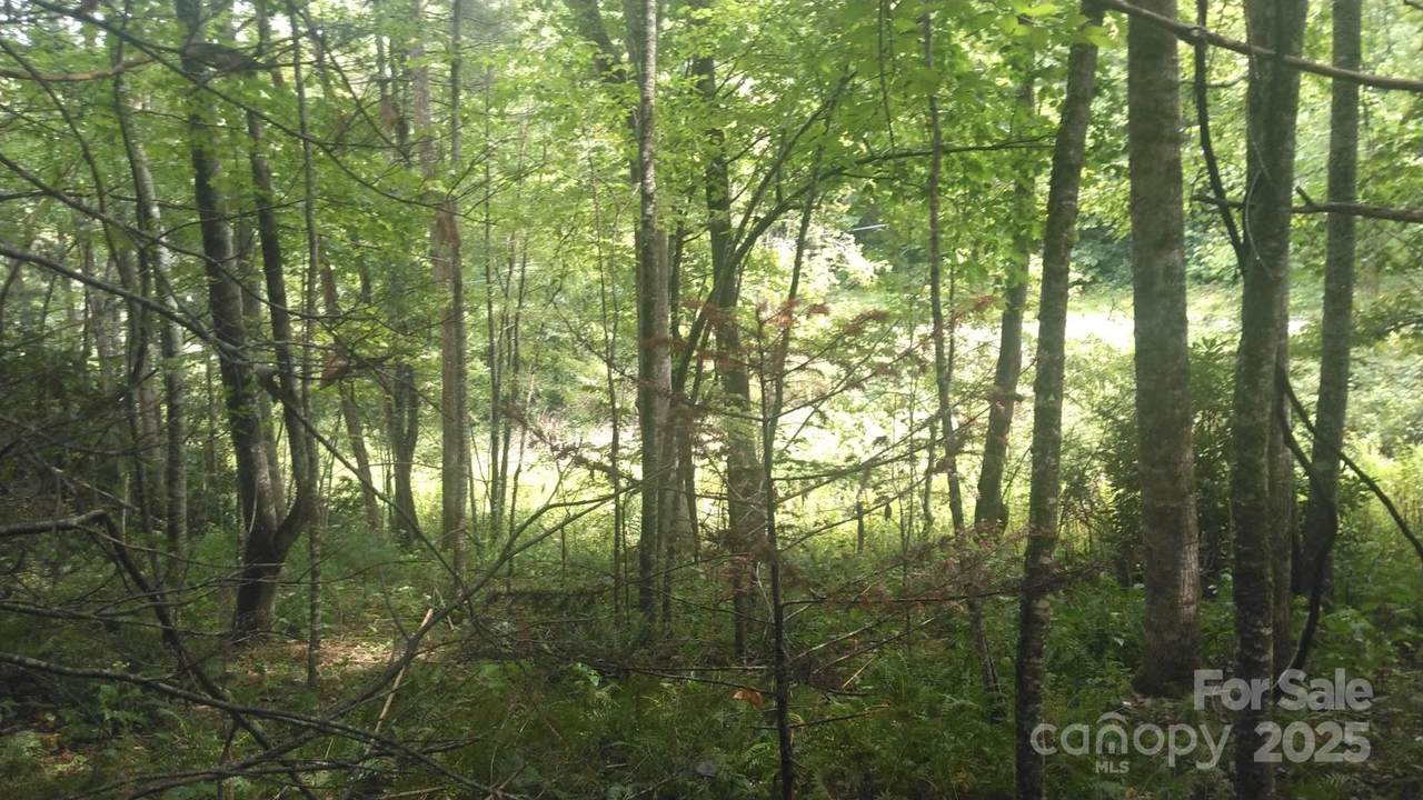 7360 Nc 183 Highway - Photo 1