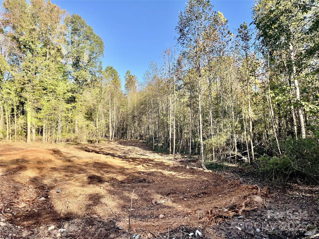 0 Tanglewood Drive - Photo 1