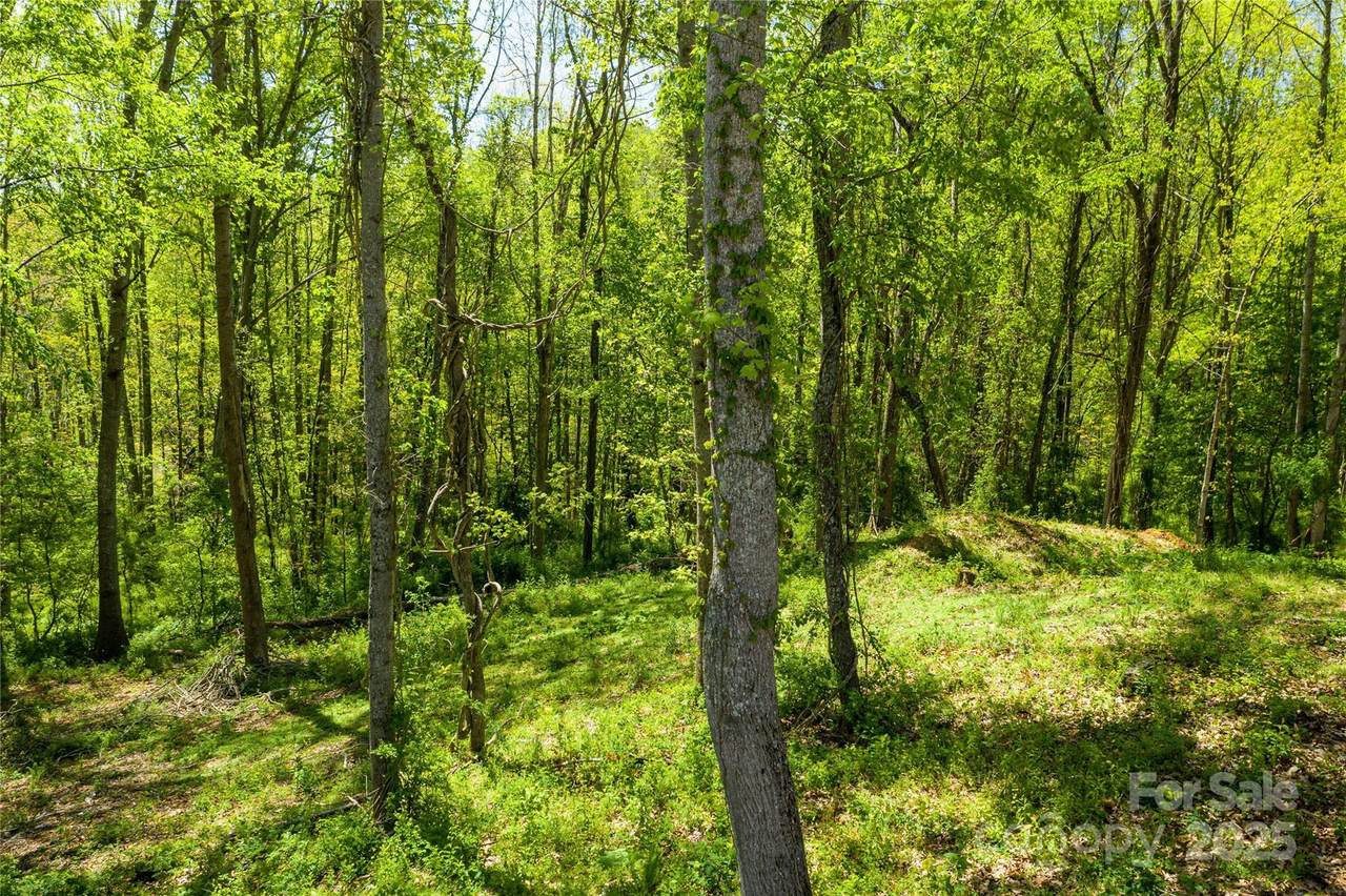 9999 Bee Balm Way - Photo 1