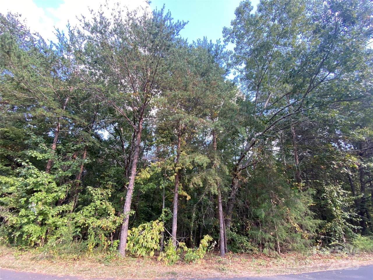 1301 Shadowfax Wynd - Photo 1