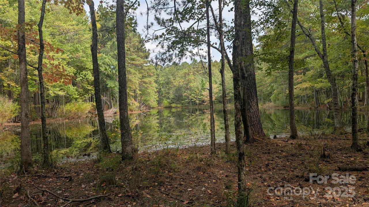 6643 Old Winnsboro Road - Photo 1