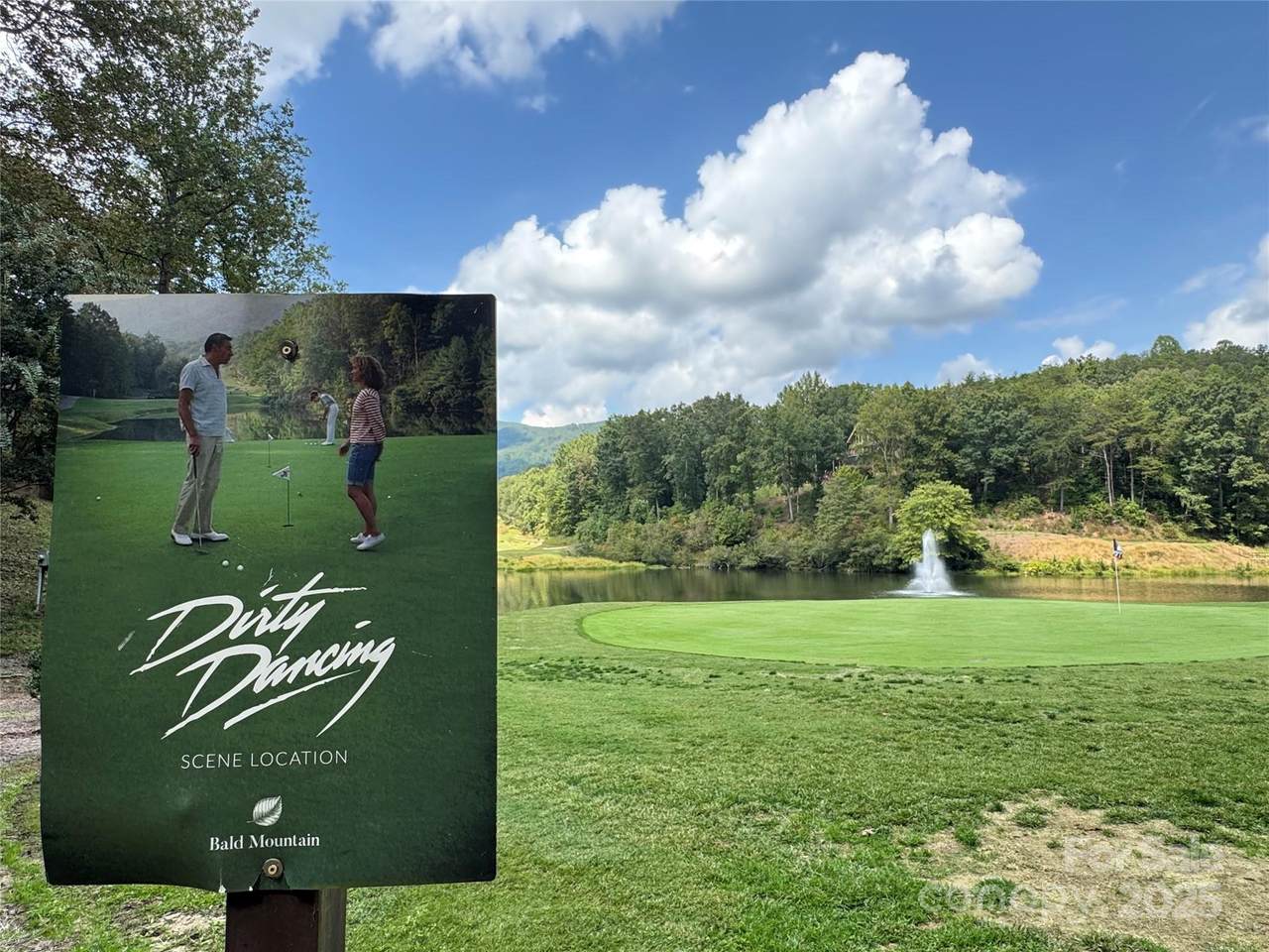 36 Bee Tree Point Court - Photo 1