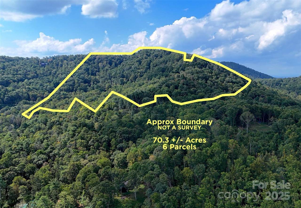 89 White Oak Gap Road - Photo 1