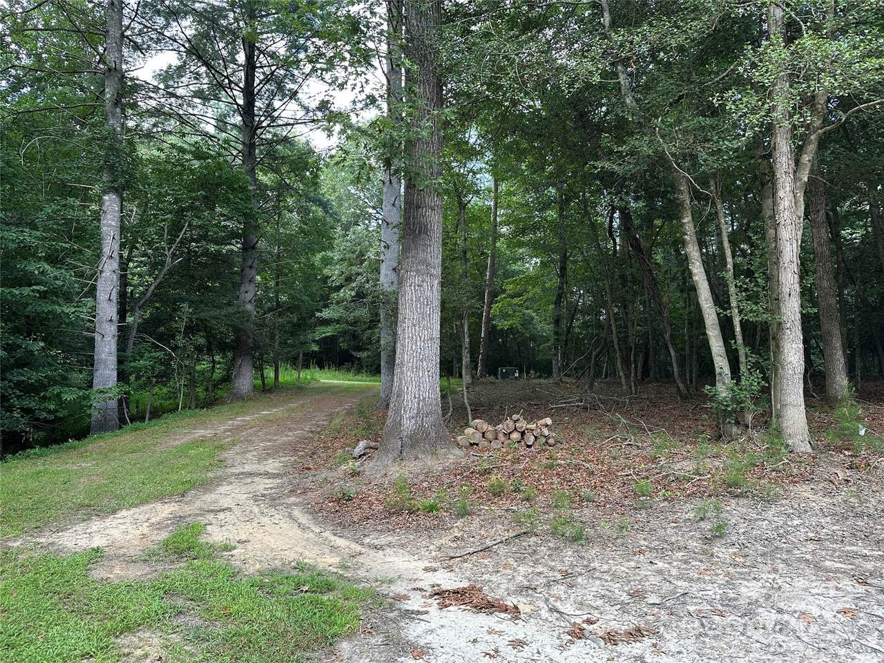 394 Rainbow Trout Drive - Photo 1