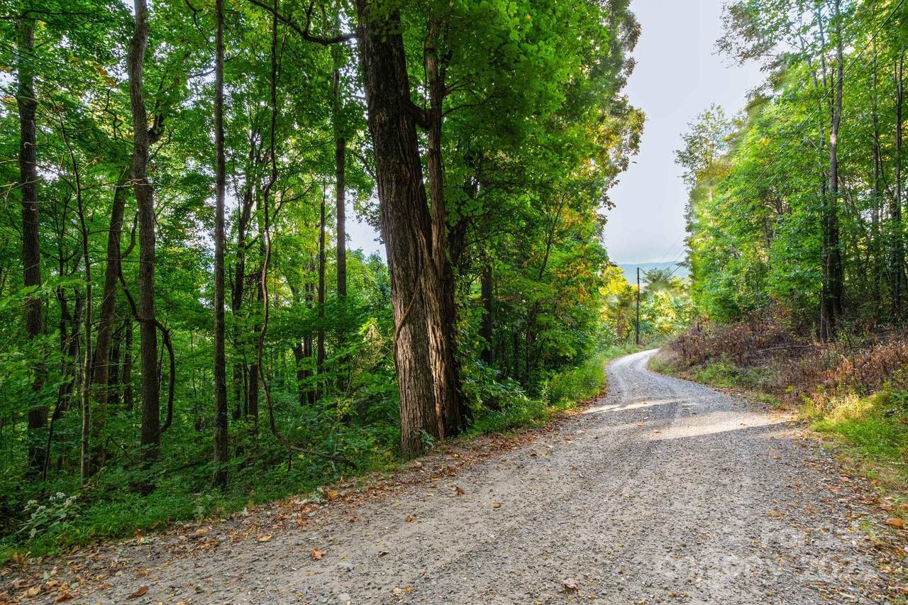 TBD Springbrook Farm Road - Photo 1