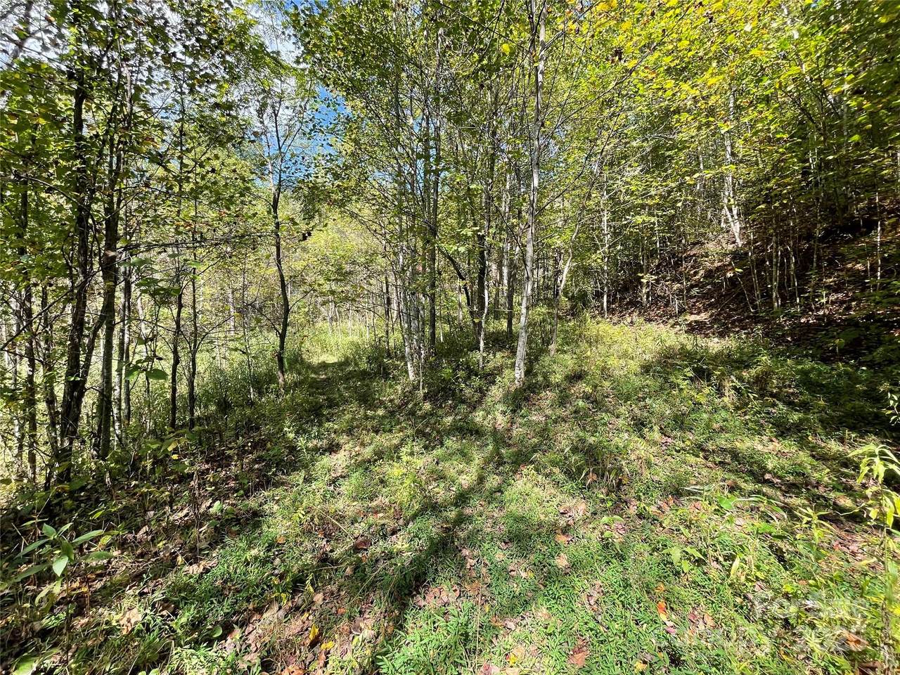 00 Poplar Holler Road - Photo 1