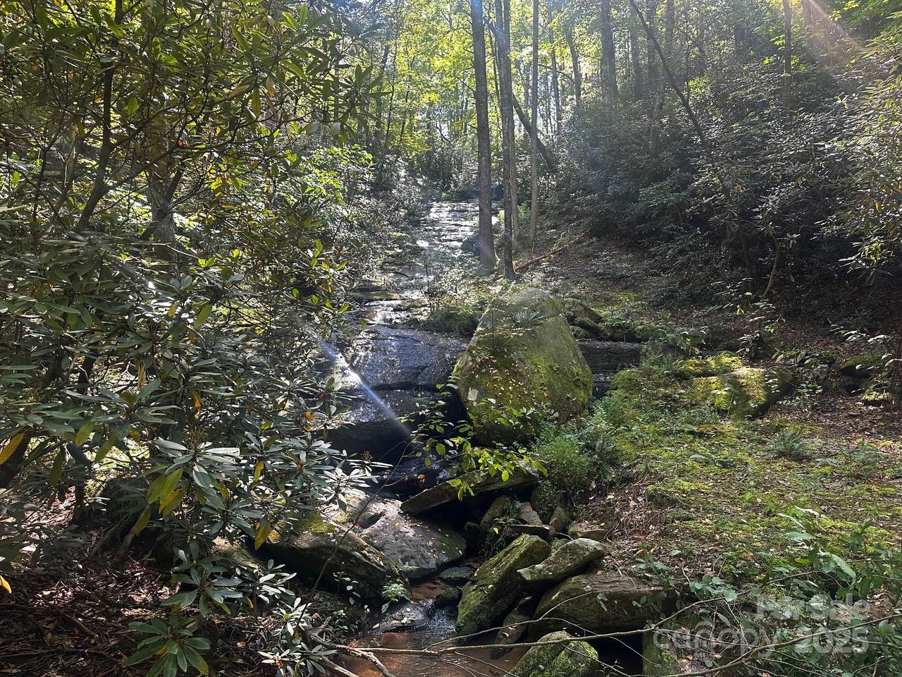 0000 Moss Hill Lane - Photo 1