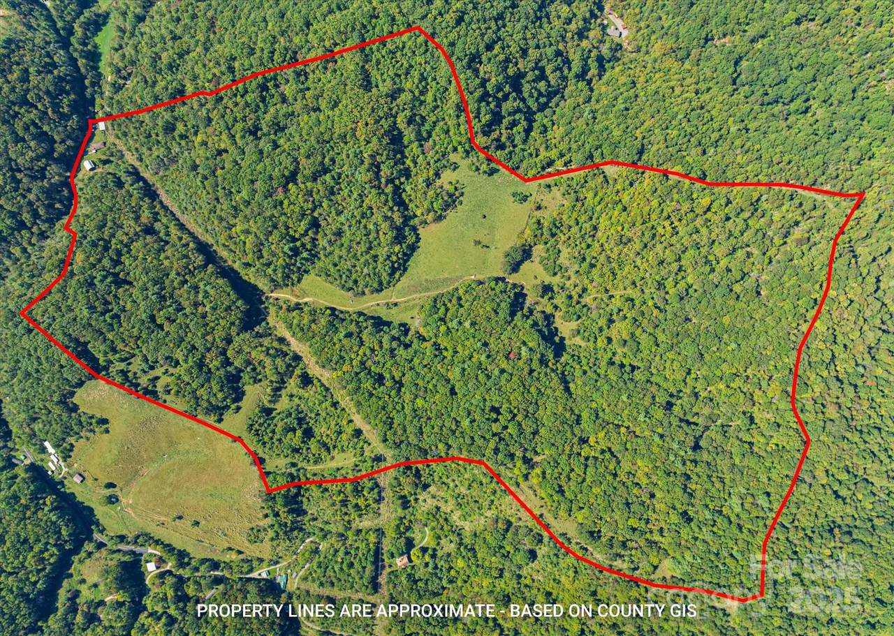 1623 Ammons Branch Road - Photo 1