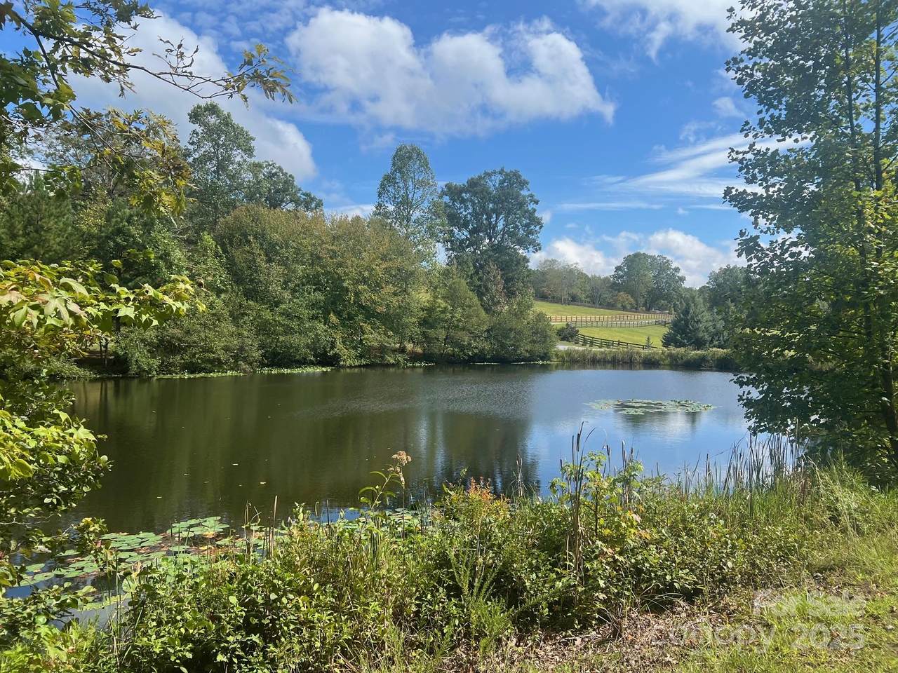 TBD Blue Horse Lane - Photo 1