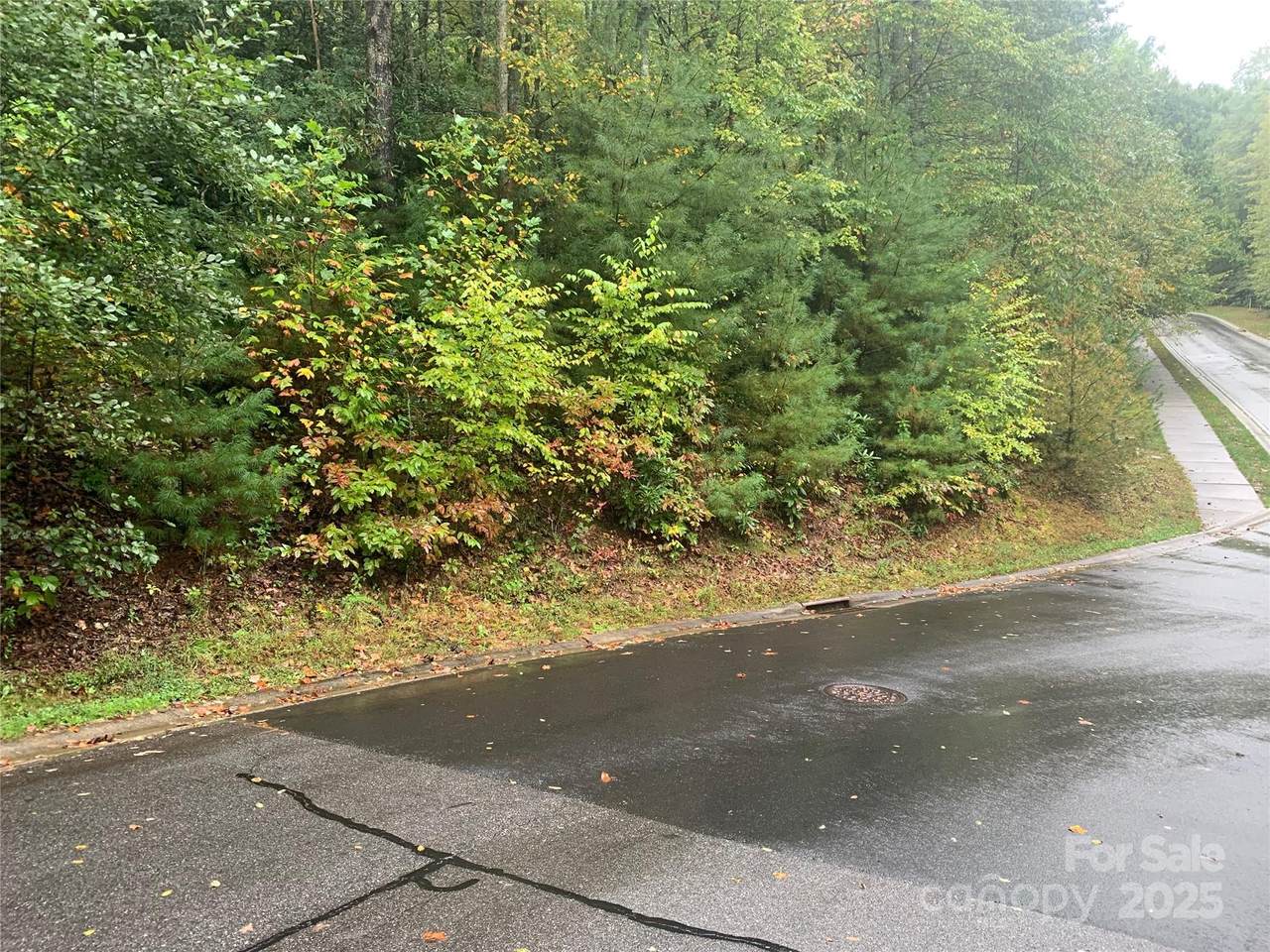 208 Settings Boulevard - Photo 1