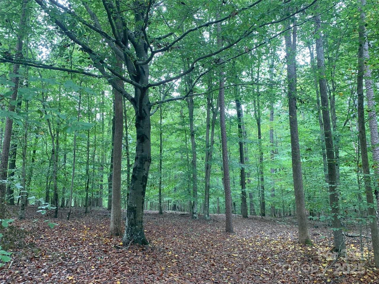 0 Fawn Lane - Photo 1