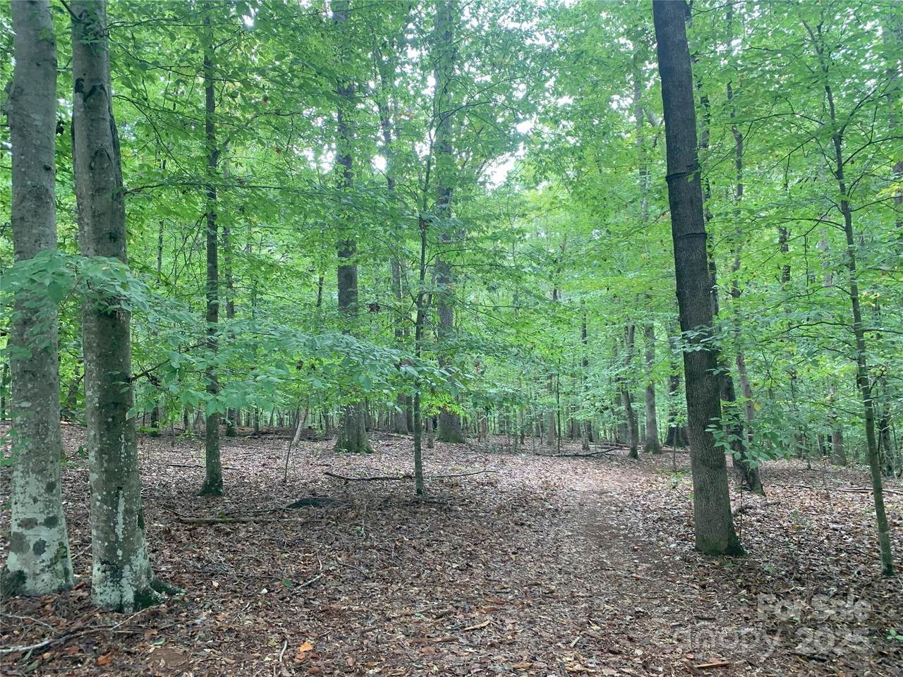 https://bt-photos.global.ssl.fastly.net/cmls/1280_boomver_1_4307728-1.jpg