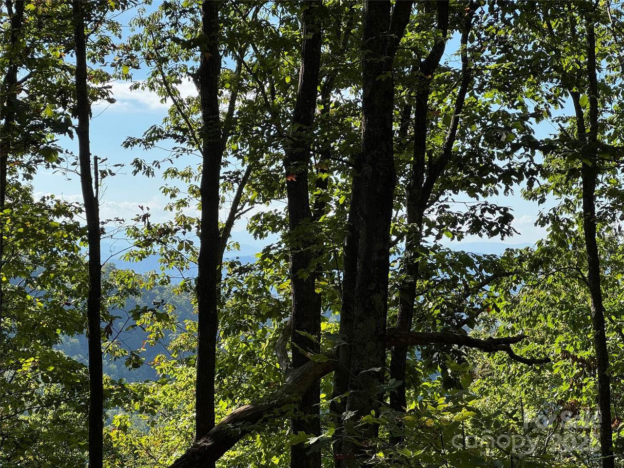400 High Hickory Trail - Photo 1
