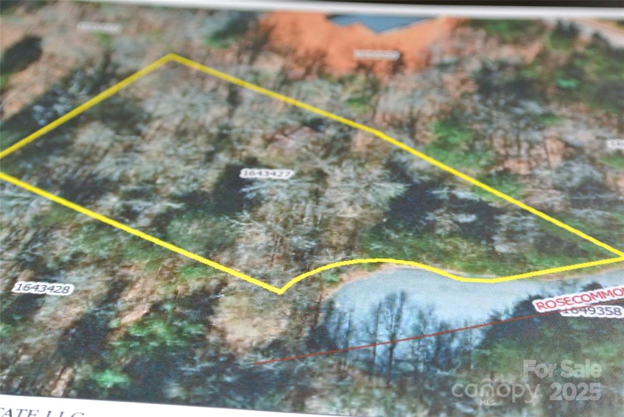 Lot 129 Rosecommon Lane - Photo 1