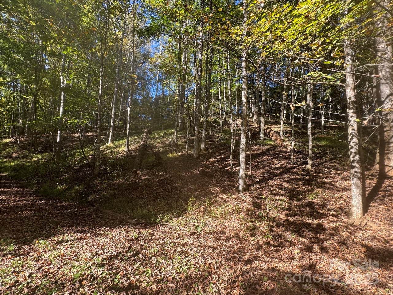 9 Susanna Cove - Photo 1