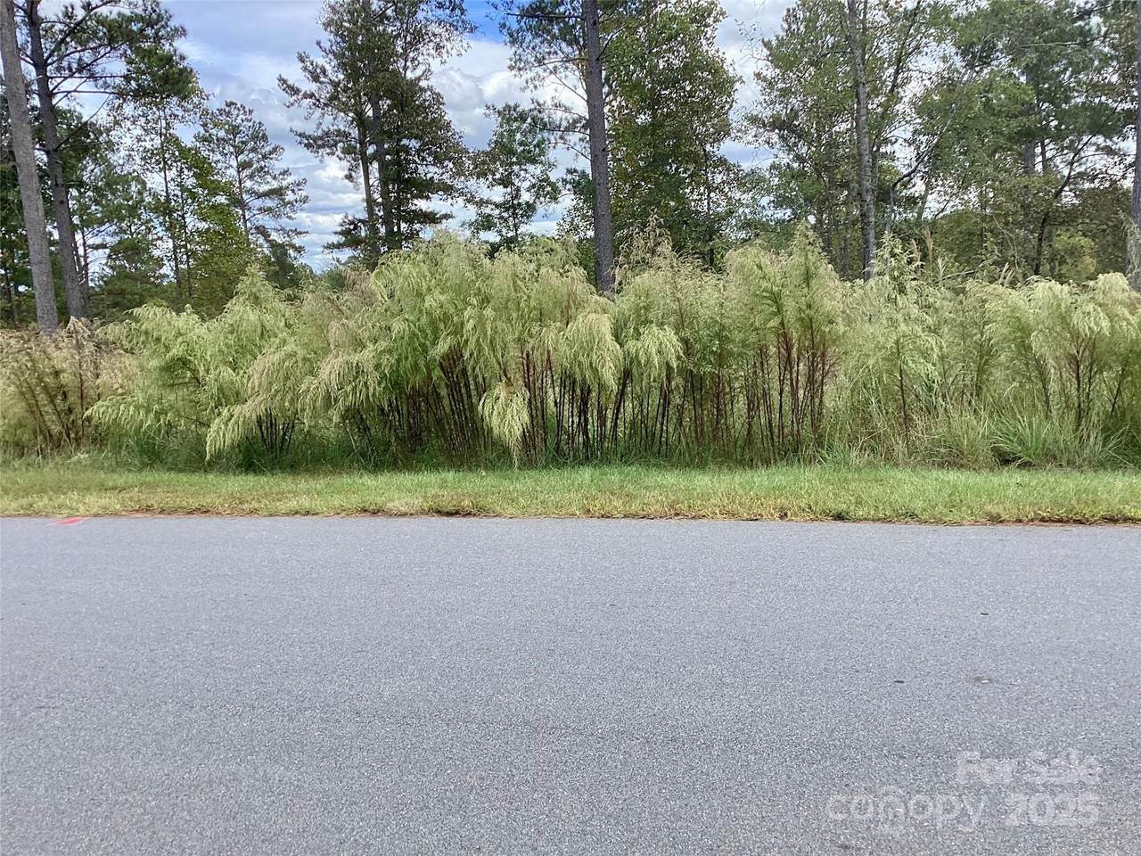 1818 Jumping Run - Photo 1