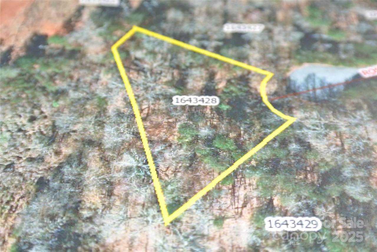 Lot 130 Rosecommon Lane - Photo 1