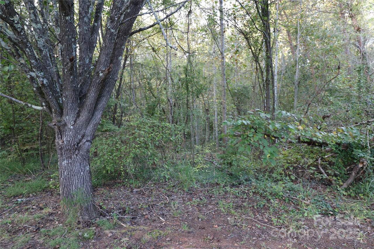 0 Carver Lane - Photo 1