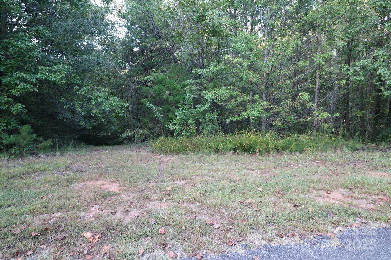 0 Carver Lane - Photo 1