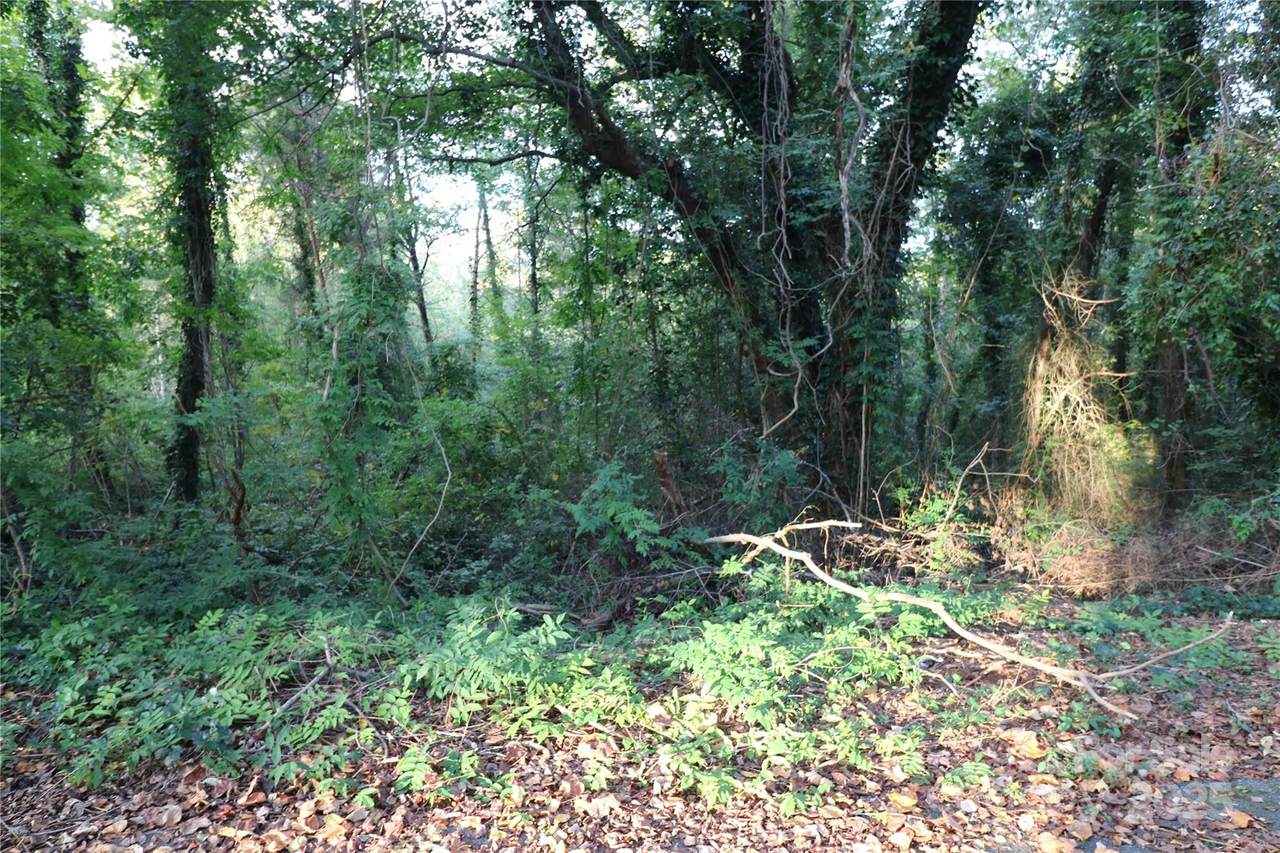 0 Carver Lane - Photo 1