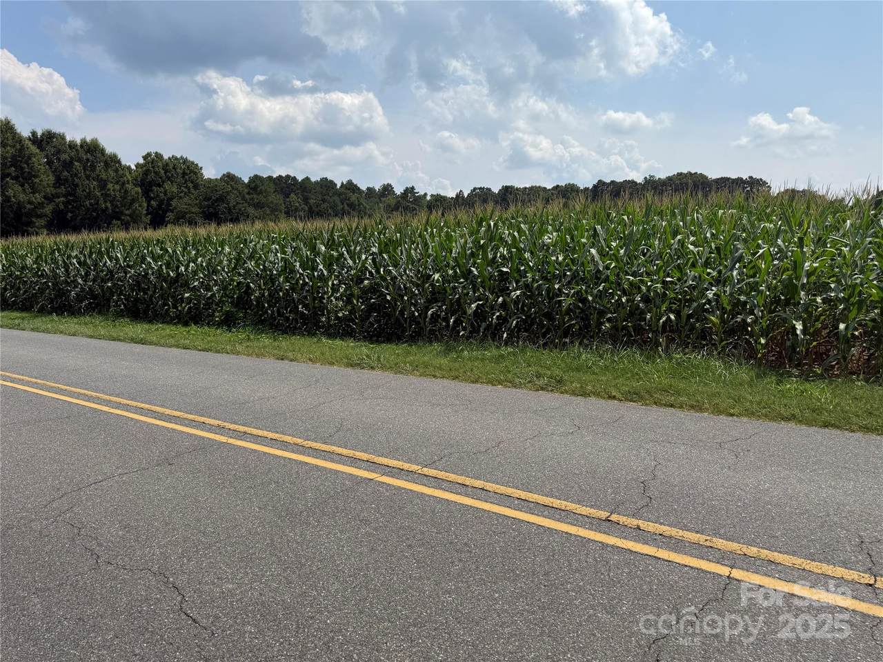 1 Medlin Road - Photo 1