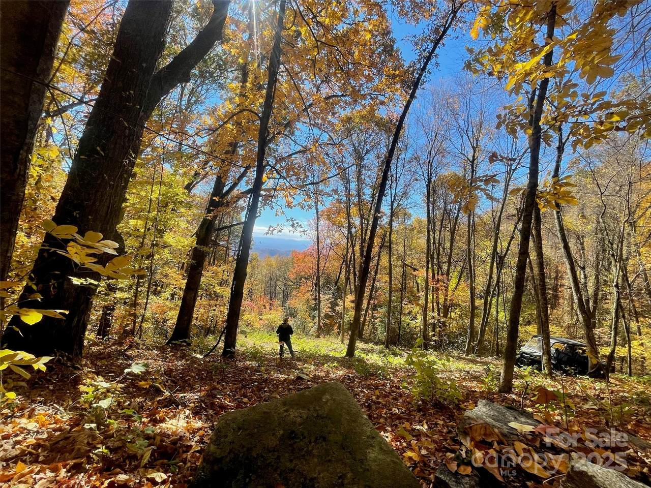 00000 New Sprout Lane - Photo 1