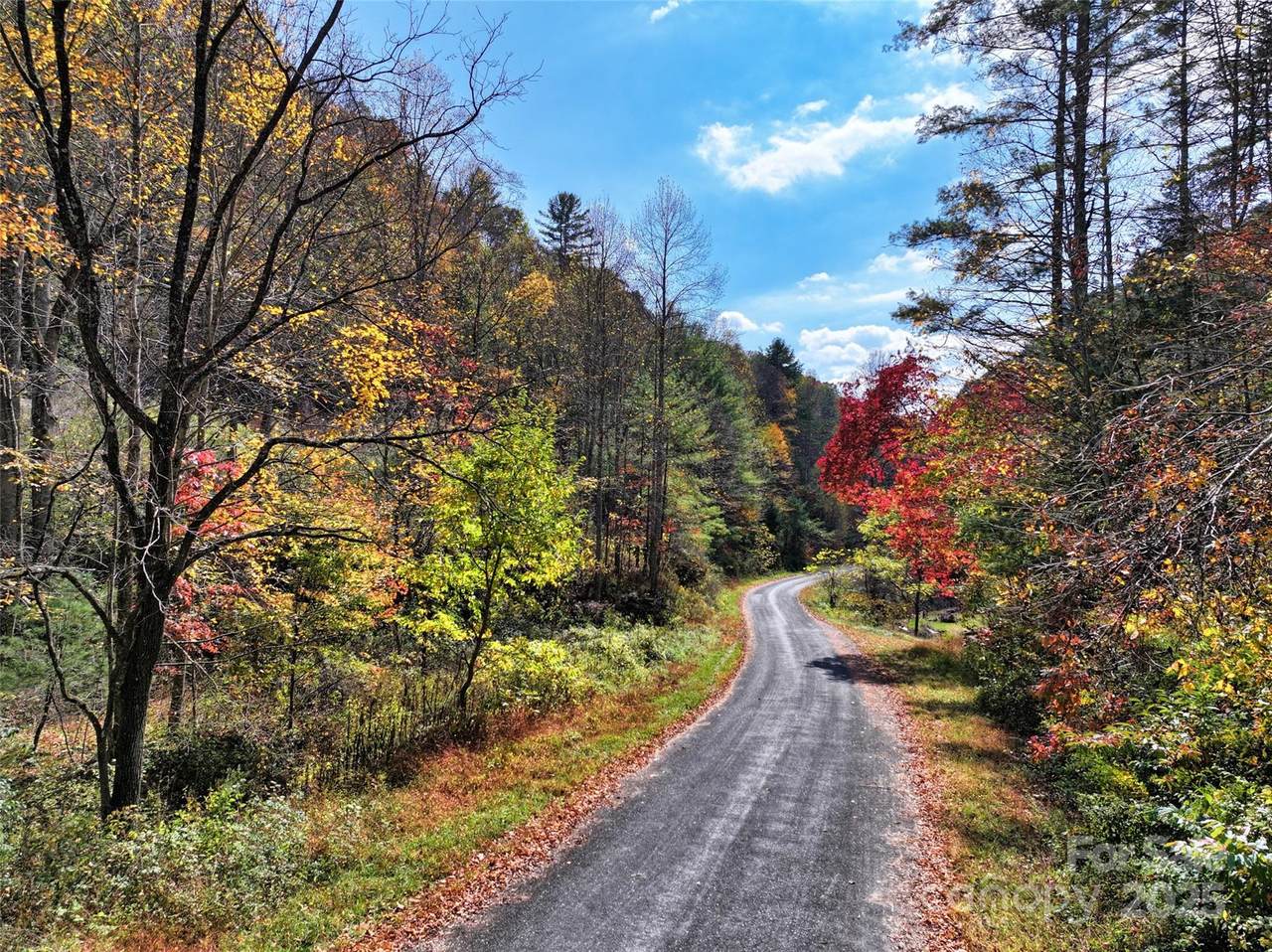 366 Renfro Road - Photo 1