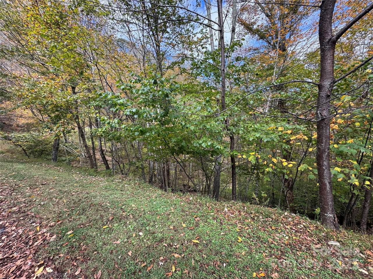 92 Goldenleaf Drive - Photo 1