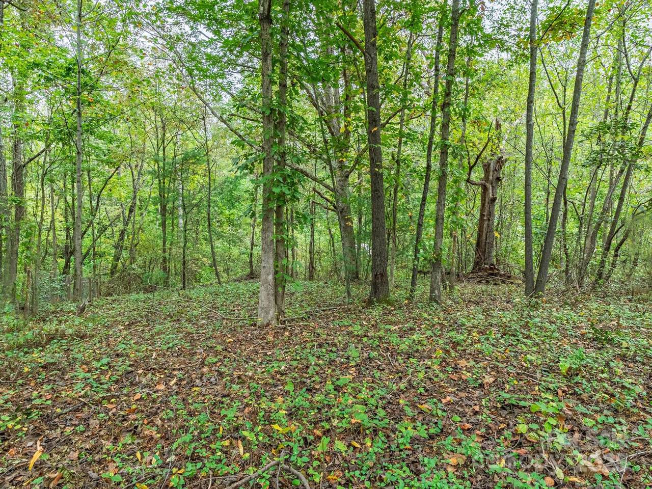 99999 Hummingbird Lane - Photo 1