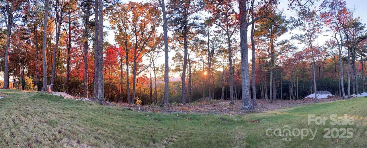 0 Mountain Grove Lane - Photo 1