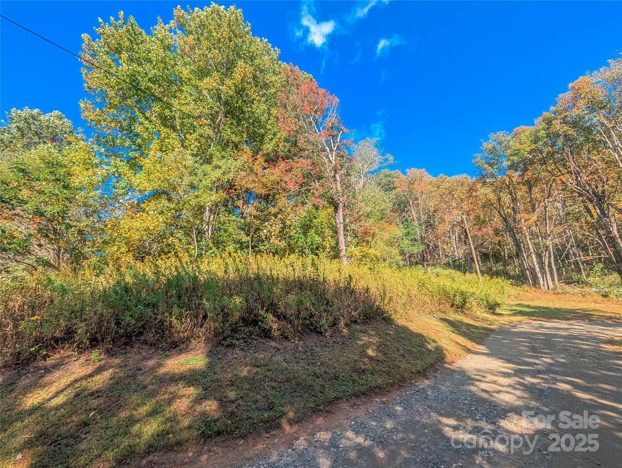 0000 Nicholas Knoll - Photo 1